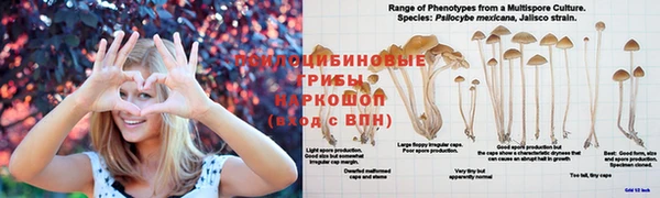 MESCALINE Алзамай