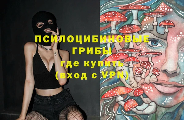 мет Алексин