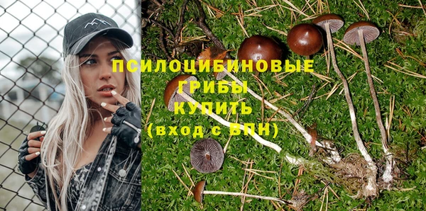 крисы Абинск