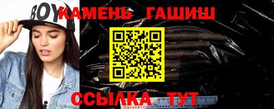 гашик Дубна